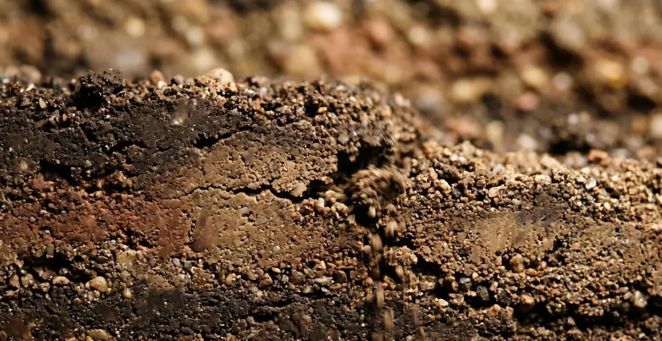 Vue macro de vibrations propagées dans le sol lors d'opérations de fondations